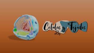 CELULAS Y TEJIDOS VIDEO EDUCATIVO EN 3D [upl. by Sontag761]