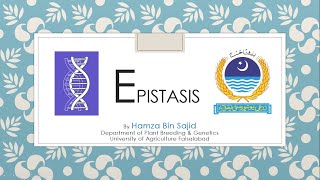 Epistasis Types Examples Recessive Epistasis Dominant Epi Duplicate Dominant amp Duplicate Recessive [upl. by Oiramej986]