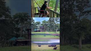 ഇവിടെ നിങ്ങൾക്ക് താമസിക്കണോ  Periyar Tiger Reserve  shorts [upl. by Portie]