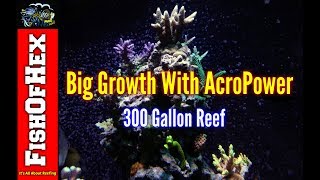 Acropower Two Month Review  Before And After  Big Growth In The 300 Gallon [upl. by Aihsiyt]