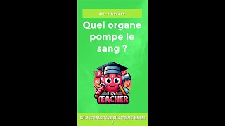 SVT 6e  Connaissezvous les organes humains [upl. by Reemas]