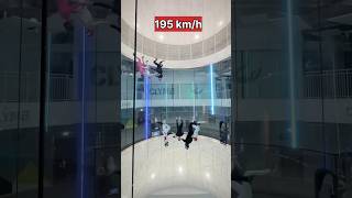 इंडोर स्काइडाइविंग कैसे होते है  indoor skydiving [upl. by Culberson]