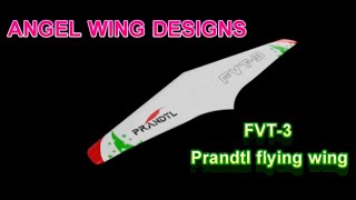 Prandtl Flying Wing FVT3 Part 2 Spars and Ribs [upl. by Valentina57]