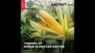 LAYOUT 40 OD ile yabancı otlar sorun olmaktan çıkıyor [upl. by Cirederf]