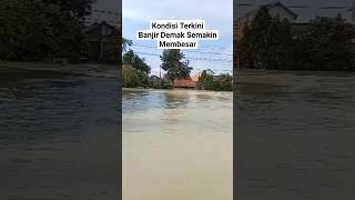 Info Terkini Banjir Demak Semakin Membesar banjir [upl. by Cross]