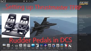 Setting up Thrustmaster TFRP rudder pedals in DCS and fixing sensitivity issues [upl. by Yleme974]