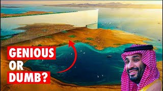 Why NEOM MegaProject WILL NOT Be Finished [upl. by Peterman111]