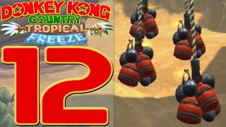 Donkey Kong Country Tropical Freeze Part 12 Explosives on Ropes [upl. by Peterson]