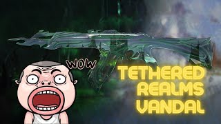 Tethered Realms Vandal Skin Test  Valorant Indonesia [upl. by Adrien141]