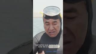 ¿Por qué los biólogos marinos y los pescadores siembran algas en el mar peruano shorts [upl. by Jarred]