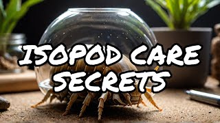 Expert Tips for Isopod Care [upl. by Jocelyn969]