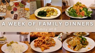 WEEK 67 FAMILY DINNERS OF THE WEEK  family of eight evening meal ideas meal plan🍝🥙 [upl. by Morven428]