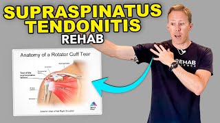 4 Supraspinatus Tendonitis Exercises [upl. by Legnaleugim465]