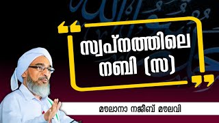 സ്വപ്നത്തിലെ നബി സ മൗലാനാ നജീബ് മൗലവി Najeeb moulavi [upl. by Fiorenza399]