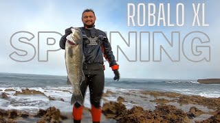 Robalo XL Spinning Sea Bass Fishing  Portugal [upl. by Sedgewinn813]