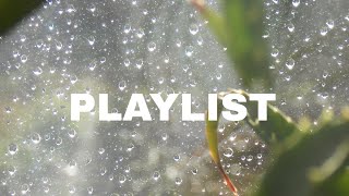 playlistwave to earth beabadoobeeclairomen i trustfaye websterlaufey [upl. by Randal]