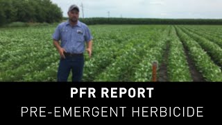 PFR Report  PreEmergent Herbicide Study [upl. by Coulson859]