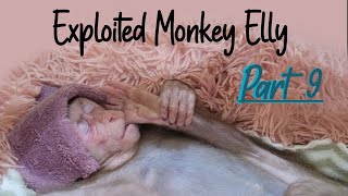 Exploited Pet Monkey Elly Part 9 [upl. by Ilime]