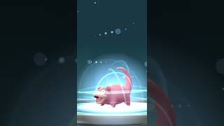 Slowpoke evolve slowking please like and subscribe pokemon pokemongo pokemoncards [upl. by Viens407]