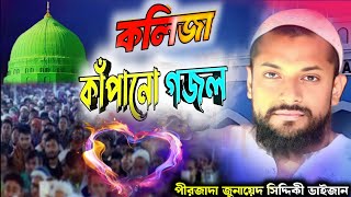 পীরজাদা জুনায়েদ সিদ্দিকী হুজুরের নতুন ১টি গজল নাত junaid siddique new naat 2024 [upl. by Anavi]