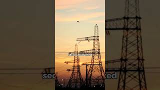 quotUnlocking the Power of Electricity Shocking Facts You Didnt Knowquot shorts facts electricity [upl. by Meunier]