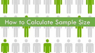 How to Calculate Sample Size in Research  Best Practices for Determining Survey Sample Size [upl. by Anhej452]