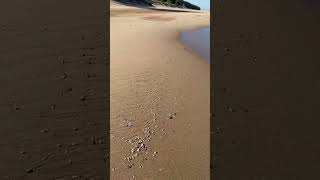 Oval Beach MI nature beach michigan greatlakes [upl. by Jarrod]