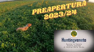 Preapertura 202324 Buon allenamento per i miei Breton caccia hunt veneto [upl. by Oniratac586]