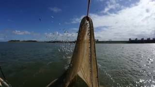 Dagje Waddenzee met Jan Rotgans [upl. by Retha639]