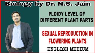 Ploidy Level of Different Plant Parts Sexual Reproduction in Flowering Plants  English Medium [upl. by Keene487]