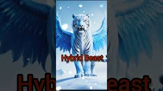 Blue Ice Bird and Tiger Hybrid 😱😱😱😱😱😱 [upl. by Codee]