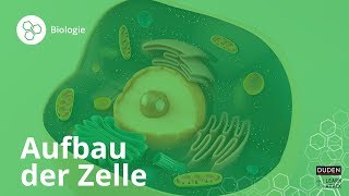 Aufbau der Zelle Bio leicht gemacht – Biologie  Duden Learnattack [upl. by Sadnac]