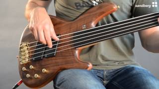 Sandberg Panther Special 5 Fretless [upl. by Ninnetta]