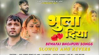 Kyu Bhula Diya Nilkamal Singh broken heart Sad songs  Slowed Reverb  Lufi Songs Remix by ADR [upl. by Alejoa]