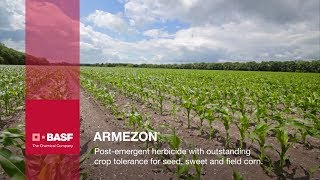 Armezon Herbicide Grower Testimonials  BASF [upl. by Emilie]