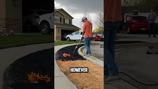 Why Did This Man Burn His Lawn 🔥🌱 You Will Be Surprised Why 😲 [upl. by Moneta]