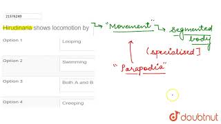 Hirudinaria shows locomotion by [upl. by Oeak]