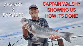 ANGLERS amp DANGLERS boat fishing catching BASS amp SMOOTHHOUNDS jcmanglingadventures [upl. by Robbie]