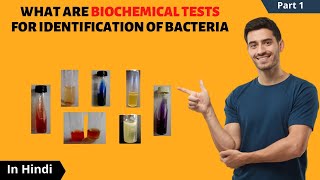 Biochemical Tests for Identification of Bacteria  in Hindi  CatalaseOxidaseICUT tests [upl. by Jabon]