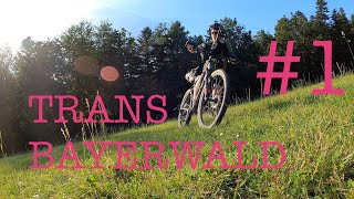 Bikepacking Tour Trans Bayerwald 1 [upl. by Annaid584]