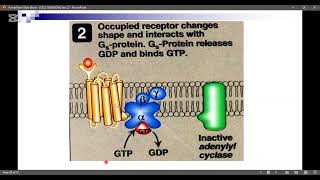 Adenylate Cyclase PathwaySignal Transduction Part 2 [upl. by Atterys]