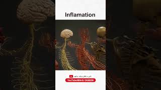 Inflamation Inflamation ibnetabeeb tibeunani herbalmedicine shorts ytvideo foryou [upl. by Oicangi]