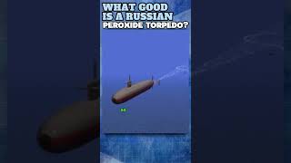 What Good is a Russian Peroxide Torpedo torpedo submarine nuclearsubmarine [upl. by Aneeres]