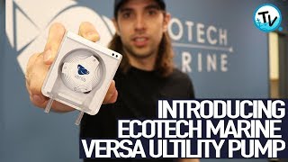 Introducing the EcoTech Versa Utility Pump [upl. by Oflodur]