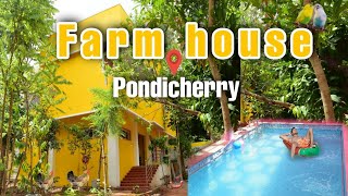 auroville private farm house with swimming pool yengadapora 4k [upl. by Isbel]