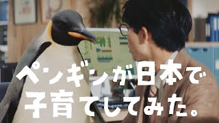 NISSAYペンギンプロジェクト「ペンギンが日本で子育てしてみた。」 [upl. by Nodroj]