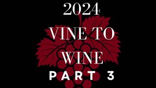 2024 Vine to Wine Series Part 3 [upl. by Nnawaj230]