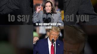 Cannabis and the candidates What do Trump and Harris have to say about Marijuana [upl. by Annalee616]