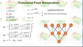 Building Trinomial Tree for CIR Model in Python [upl. by Dira]