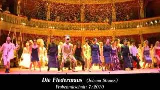 DIE FLEDERMAUS Operette von Johann Strauss [upl. by Svirad]